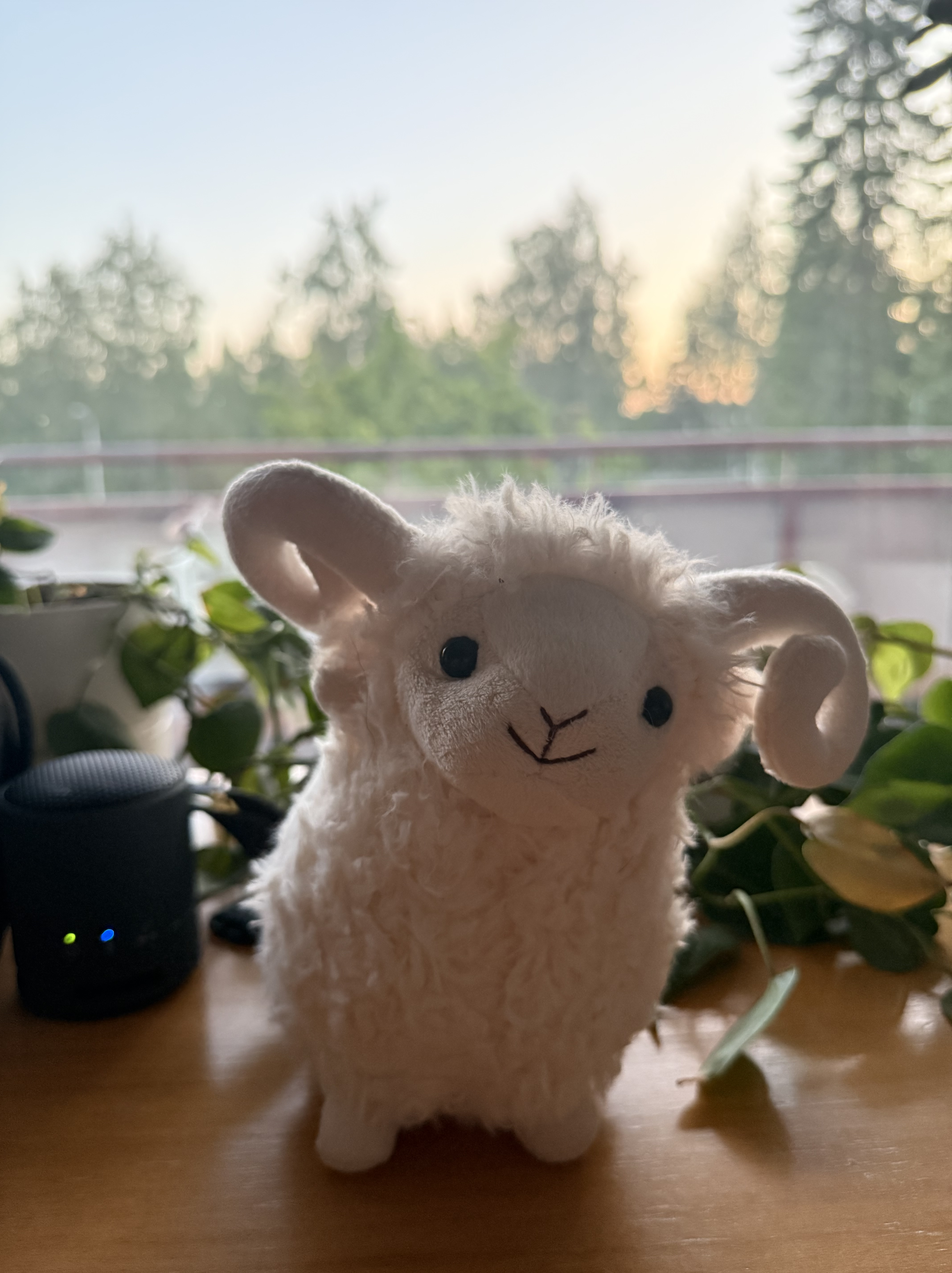 Paavo